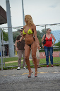 car_wash%20(209)