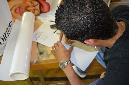 divers%20(113)
