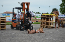 stunt%20(187)