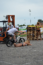 stunt%20(201)