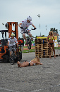 stunt%20(205)