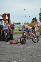 stunt%20(209)