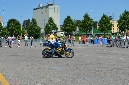 stunt%20(228)